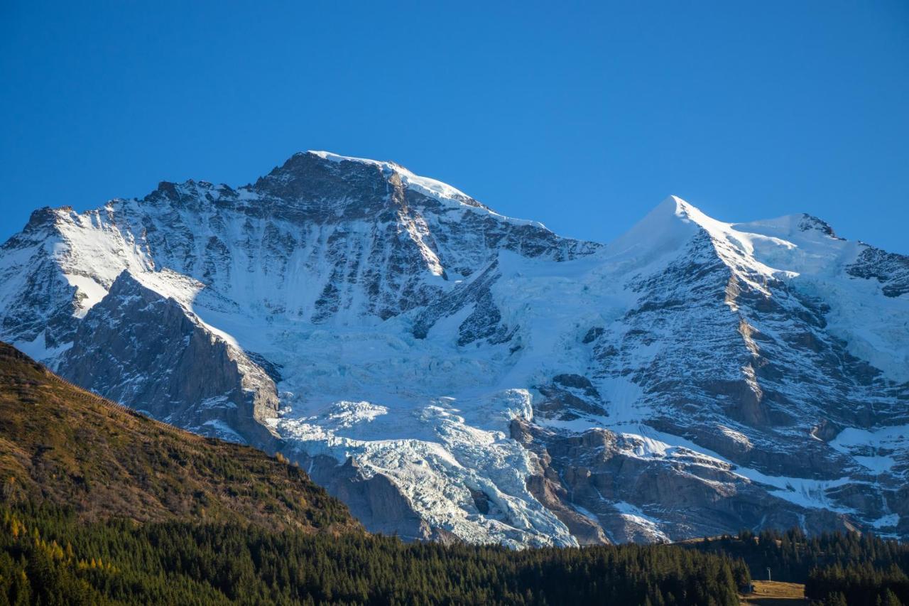 Chalet Aargovia Apartman Wengen Kültér fotó