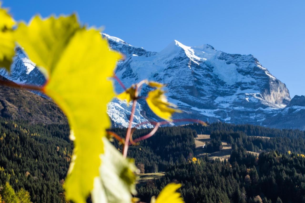 Chalet Aargovia Wengen Kültér fotó