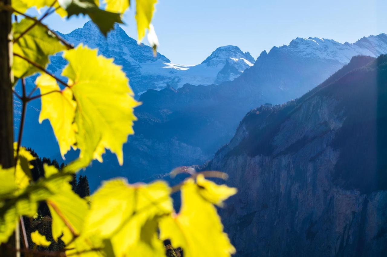 Chalet Aargovia Apartman Wengen Kültér fotó