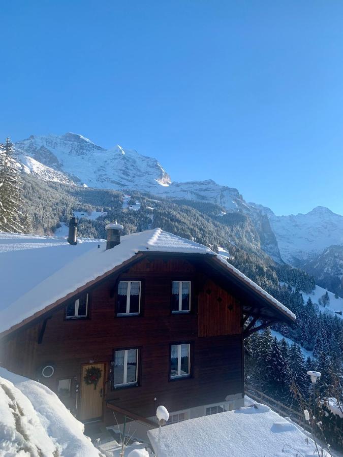 Chalet Aargovia Apartman Wengen Kültér fotó